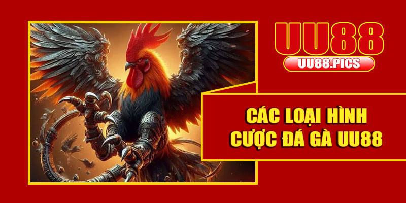 Các loại hình cược đá gà UU88