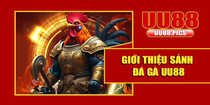 Giới thiệu về đá gà tại nhà cái UU88