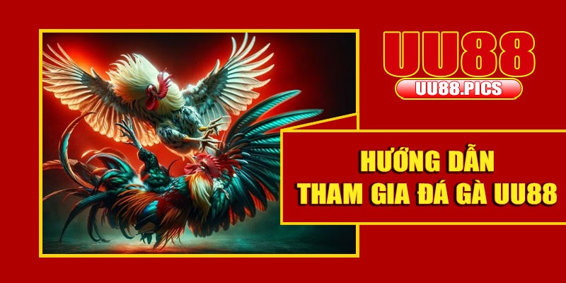 Hướng dẫn tham gia đá gà UU88